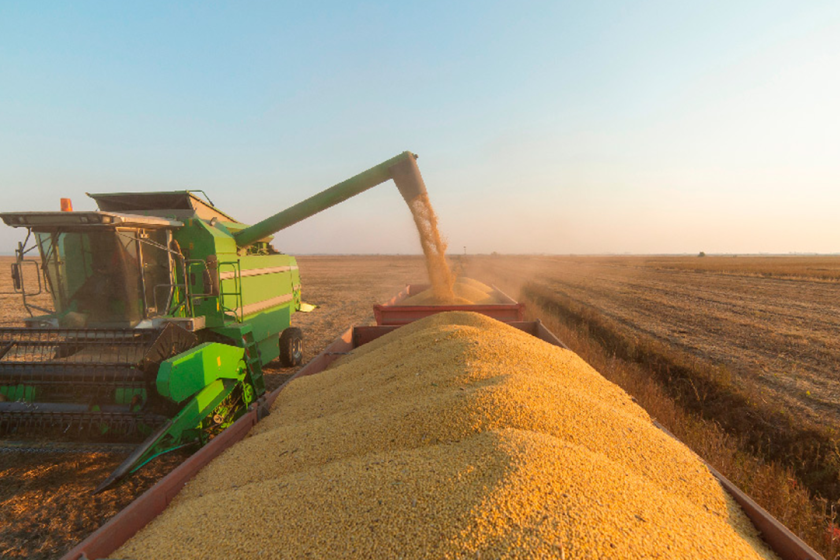 Do distribuidor ao campo: o elo essencial que conecta o agro brasileiro