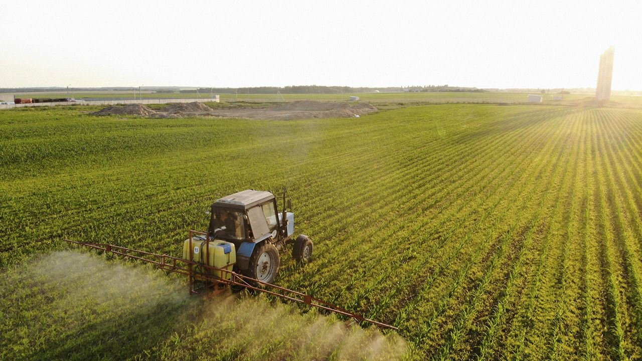 Nutrição Foliar: o equilíbrio nutricional para maximizar a produtividade