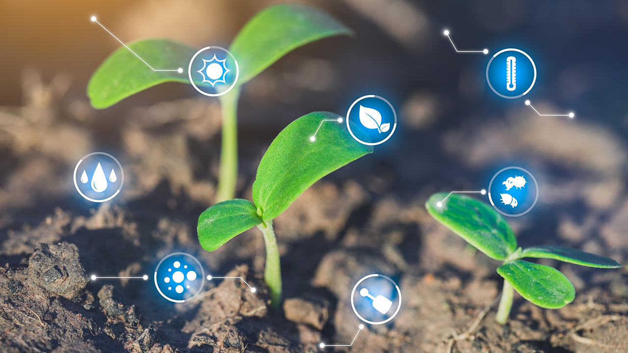 O papel dos bioinsumos na agricultura moderna: tendência ou necessidade?