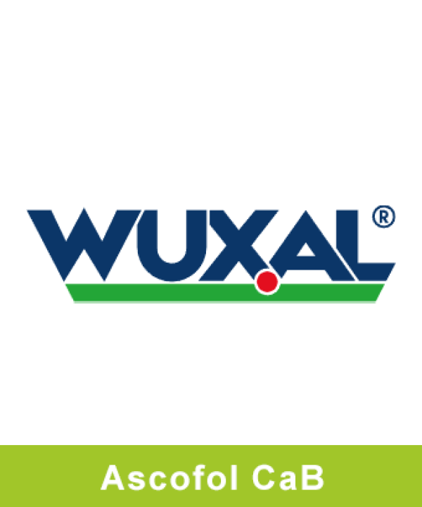 Wuxal Ascofol CaB
